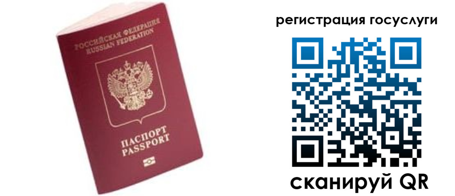прописка поиск в Александровске
